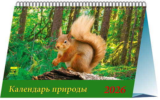 19620