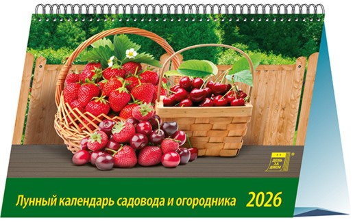 19612