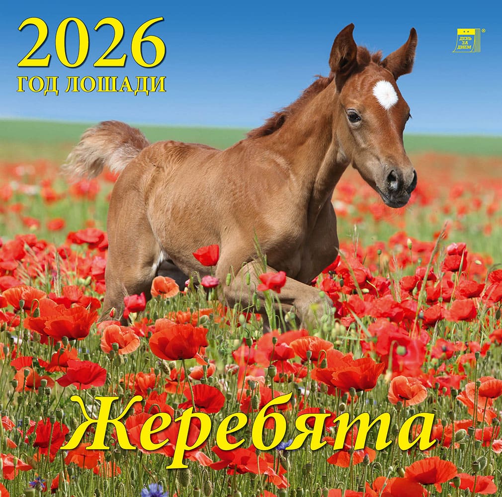 70621