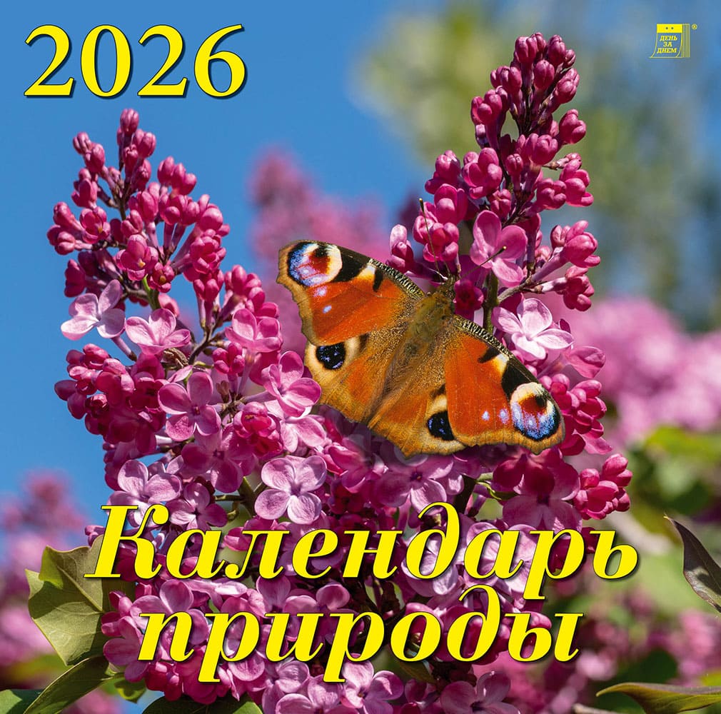 70608