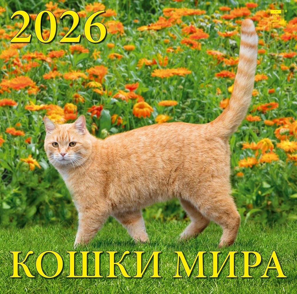70604