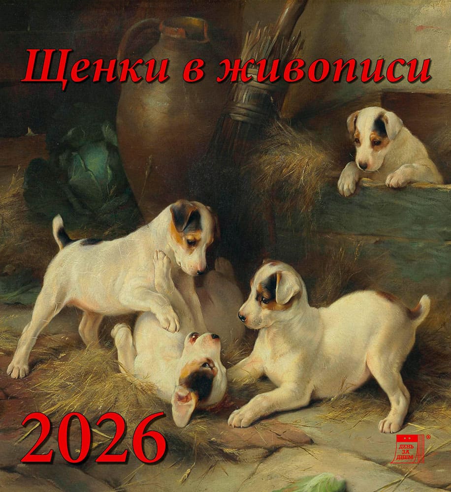45608