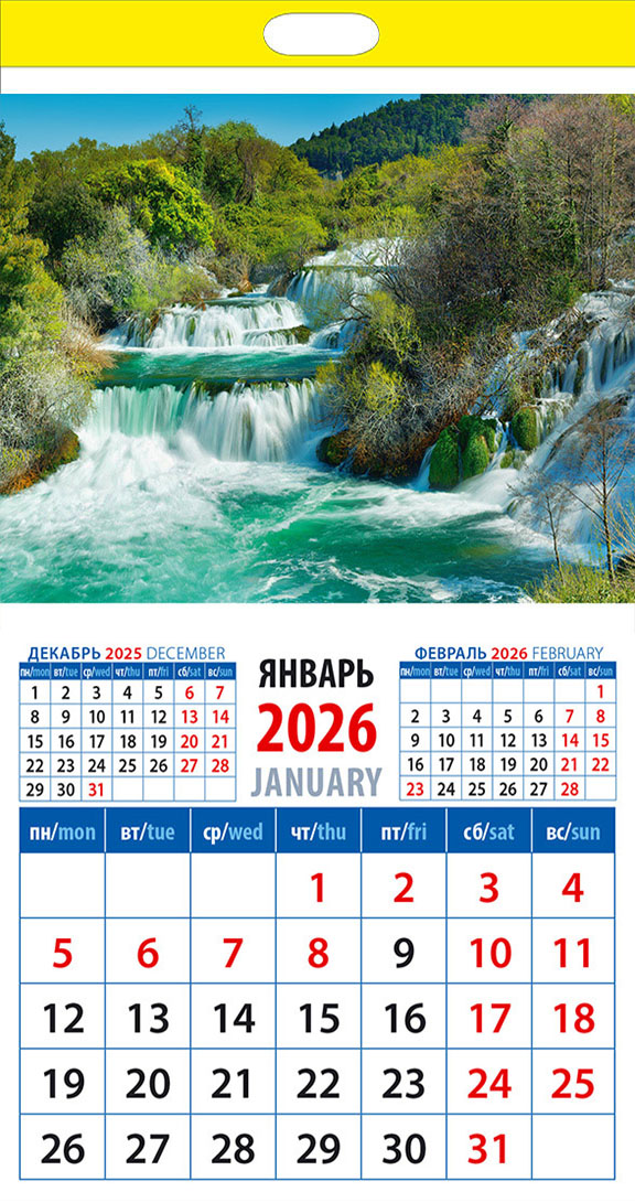 20614